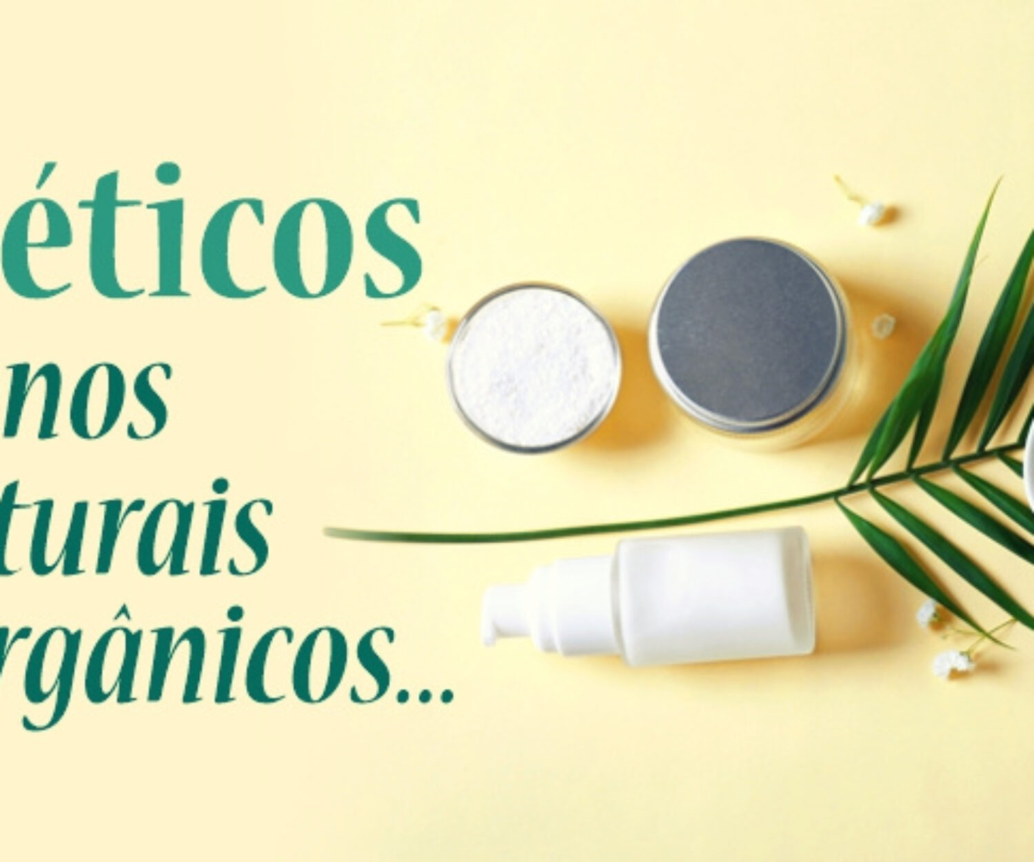 S COSMETICOS DO BEM - Qual a diferenca entre cosmeticos veganos naturais e organicos(1)