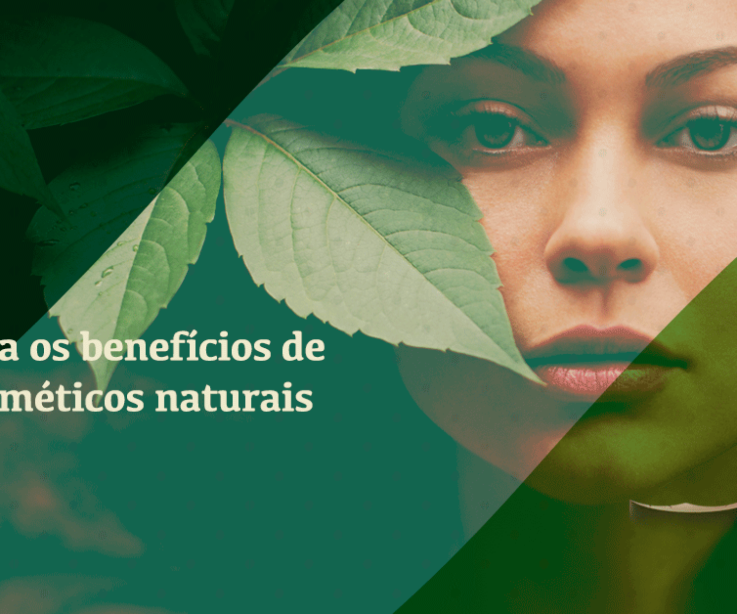 Cosméticos naturais