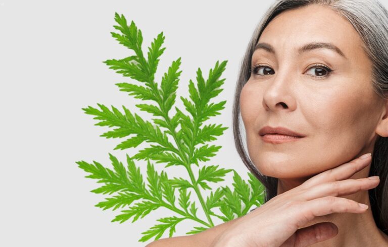 S Cosmeticos - Boxes 3